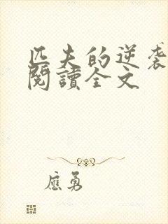 匹夫的逆袭在线阅读全文