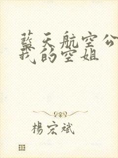 蓝天航空公司之我的空姐