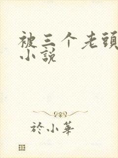 被三个老头调教小说