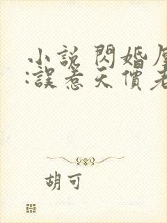 小说 闪婚厚爱:误惹天价老公