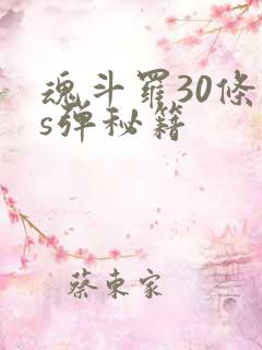 魂斗罗30条命s弹秘籍