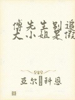 傅先生别追了,大小姐是假的短剧