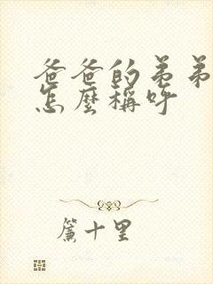 爸爸的弟弟老婆怎么称呼