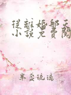 从离婚那天开始小说免费阅读