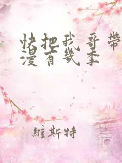 快把我哥带走动漫有几季