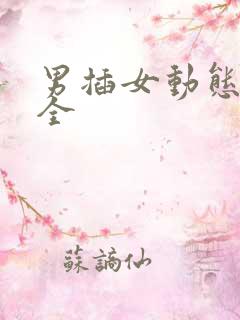 男插女动态图大全