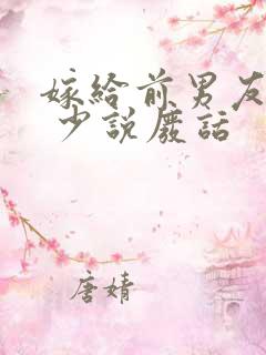 嫁给前男友他爸 少说废话