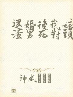 退婚后我嫁给了渣男死对头