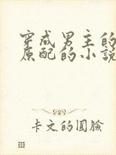 穿成男主的短命原配的小说