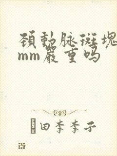 颈动脉斑块厚2mm严重吗