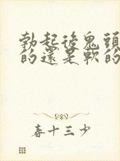 勃起后鬼头是硬的还是软的