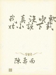 我真没吃软饭txt小说下载