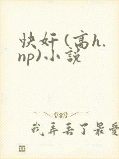 快奸 (高h.np)小说