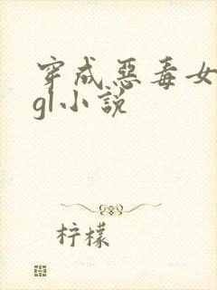 穿成恶毒女配的gl小说