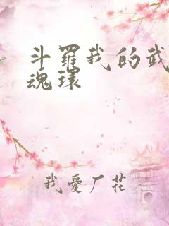 斗罗我的武魂是魂环