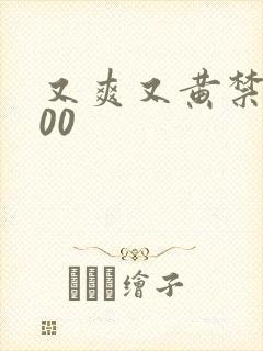 又爽又黄禁片100