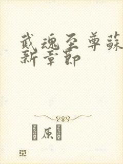 武魂至尊苏莫最新章节