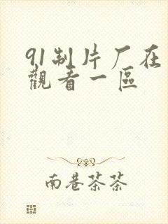 91制片厂在线观看一区