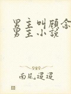 男主叫顾念的双男主小说