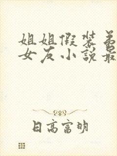 姐姐假装弟小东女友小说最新章节更