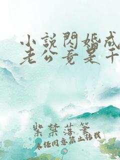 小说闪婚成宠,老公竟是千亿大佬