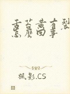 舌苔黄有裂痕是怎么回事