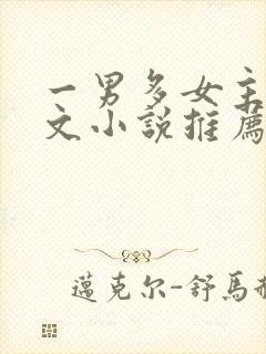 一男多女主高干文小说推荐
