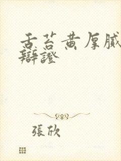 舌苔黄厚腻中医辩证