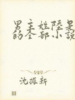 男主姓陆是总裁的全部小说