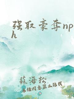 强取豪夺np高h