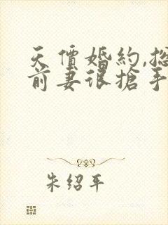 天价婚约,总裁前妻很抢手