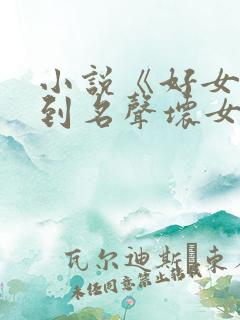 小说《好女人得到名声坏女人得到