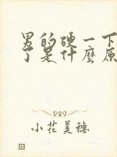 男的硬一下就软了是什么原因