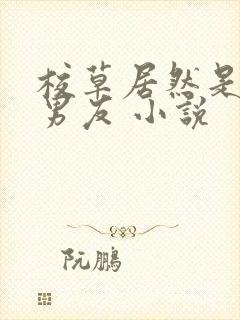 校草居然是你前男友 小说