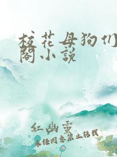 校花母狗们笔趣阁小说