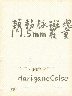 颈动脉斑块6.1*1.5mm严重吗