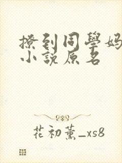 撩到同学妈妈的小说原名