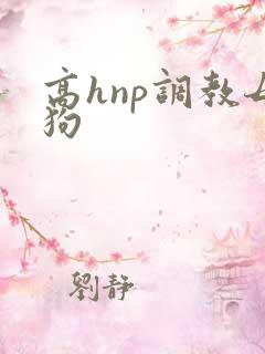 高hnp调教母狗