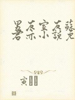 男友室友苏杳顾君亦小说免费阅读