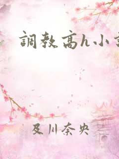 调教高h小说文