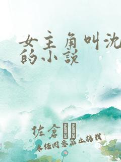 女主角叫沈清梦的小说