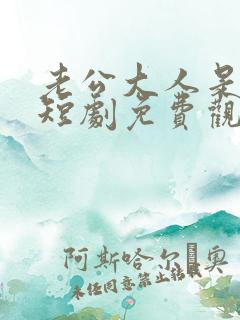 老公大人是老板短剧免费观看