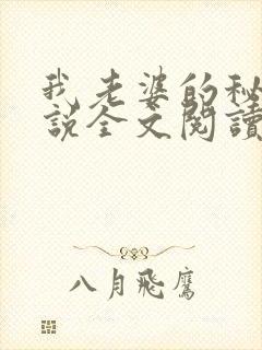 我老婆的秘密小说全文阅读