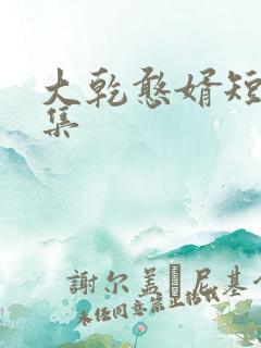 大乾憨婿短剧合集