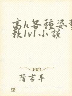 高h各种姿势调教1v1小说