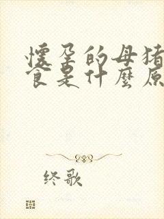 怀孕的母猪不吃食是什么原因