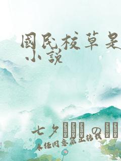 国民校草是女生 小说