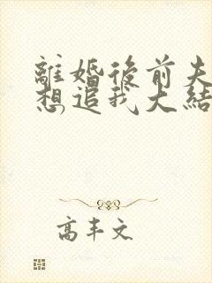 离婚后前夫总是想追我大结局