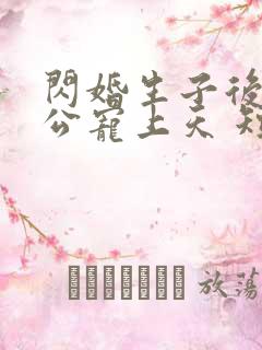 闪婚生子后被老公宠上天 短剧