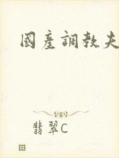 国产调教夫妻奴